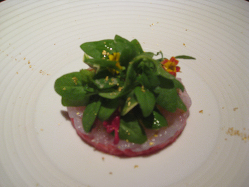 lamb tartar